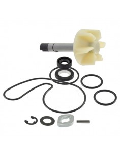 Kit revisione pompa acqua...