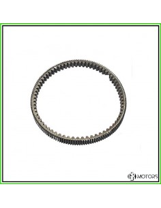 Cinghia di trasmissione...