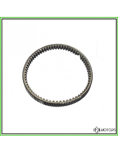 Cinghia di trasmissione originale...