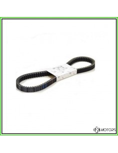 Cinghia di trasmissione...