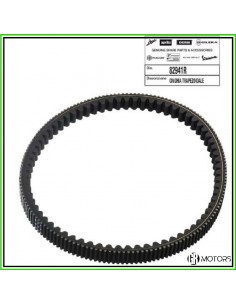 Cinghia di trasmissione...