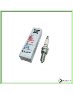 Candela Champion RG6YC...