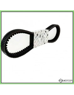 Cinghia di trasmissione...