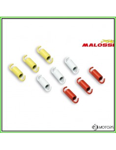 Kit molle Malossi Racing...