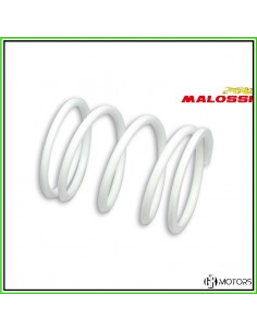 Molla di contrasto Malossi...