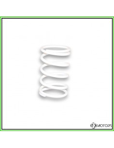 Molla di contrasto Malossi...