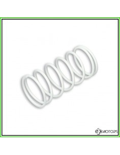 Molla di contrasto Malossi...