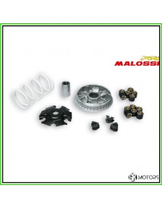 Variatore Malossi Multivar...