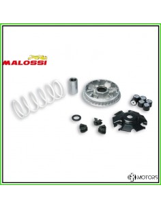 Variatore Malossi Multivar...