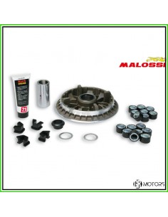 Variatore Malossi Multivar...