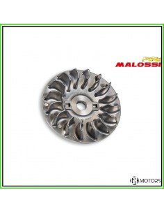 Semipuleggia motrice fissa...