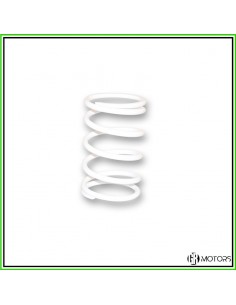 Molla di contrasto Malossi...