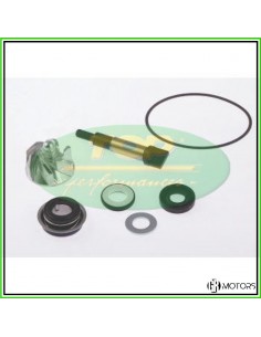 Kit revisione pompa acqua...