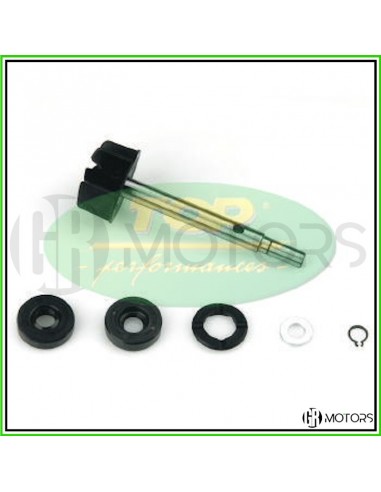 Kit revisione pompa acqua TOP Aprilia...