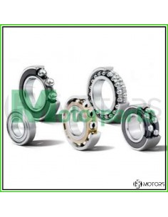 Cuscinetto forcella...