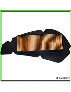 Filtro aria Okyami Malaguti...