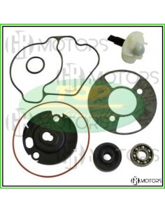 Kit revisione pompa acqua...