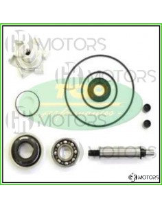 Kit revisione pompa acqua...