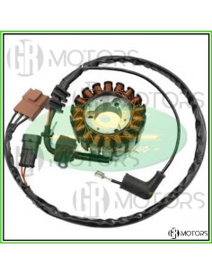 Statore TOP Piaggio Beverly...