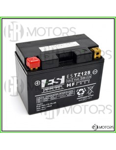 Batteria ENERGYSAFE ESTZ12S...