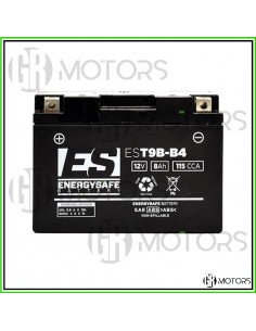 Batteria ENERGYSAFE...