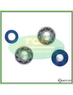 Kit cuscinetti e paraoli...