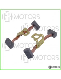 Spazzole motorino...