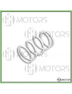 Molla di contrasto Malossi...