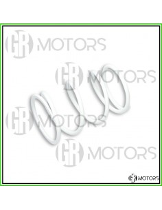 Molla di contrasto Malossi...