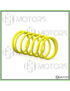 Molla di contrasto Malossi...