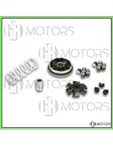 Variatore Malossi Multivar 2000 MHR...