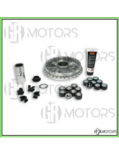 Variatore Malossi Multivar...