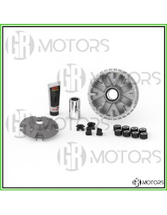 Variatore Malossi Multivar...