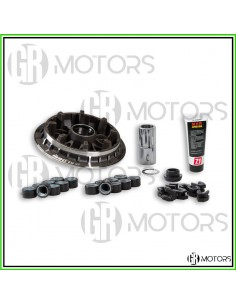 Variatore Malossi Multivar...