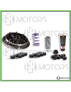 Variatore Malossi Multivar...