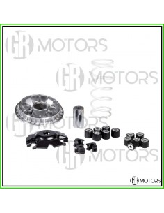 Variatore Malossi Multivar...