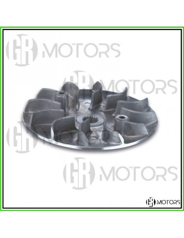 Semipuleggia motrice fissa Malossi...