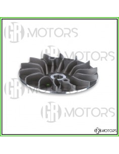 Semipuleggia motrice fissa...