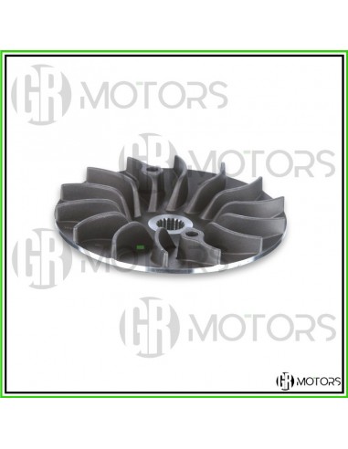 Semipuleggia motrice fissa Malossi...