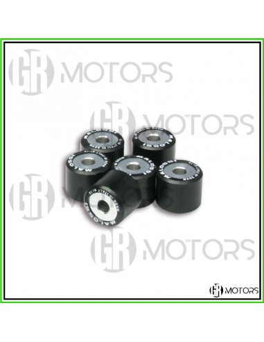 Kit 6 rulli Malossi HTRoll 20x17...