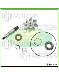 Kit revisione pompa acqua...