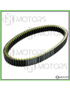 Cinghia di trasmissione...