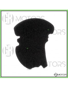 Filtro aria variatore Hokio...