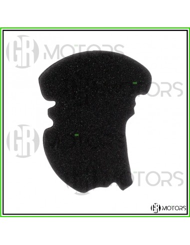 Filtro aria variatore Hokio...