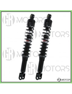 Ammortizzatori posteriori...