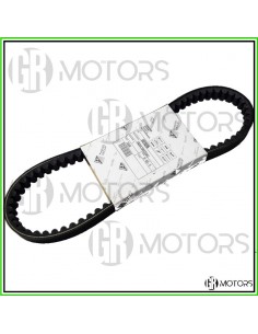 Cinghia trasmissione...