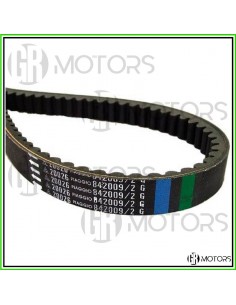 Cinghia trasmissione...