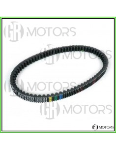 Cinghia trasmissione...