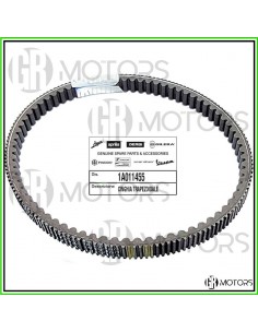 Cinghia trasmissione...