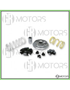 Variatore Malossi Multivar...